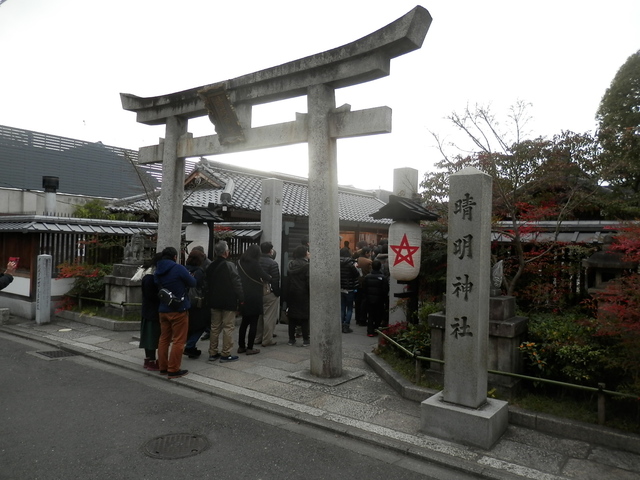 P1030036.JPG